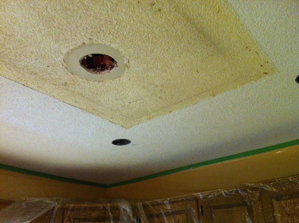 Ceiling Repair Textured Ceiling Repair Kit