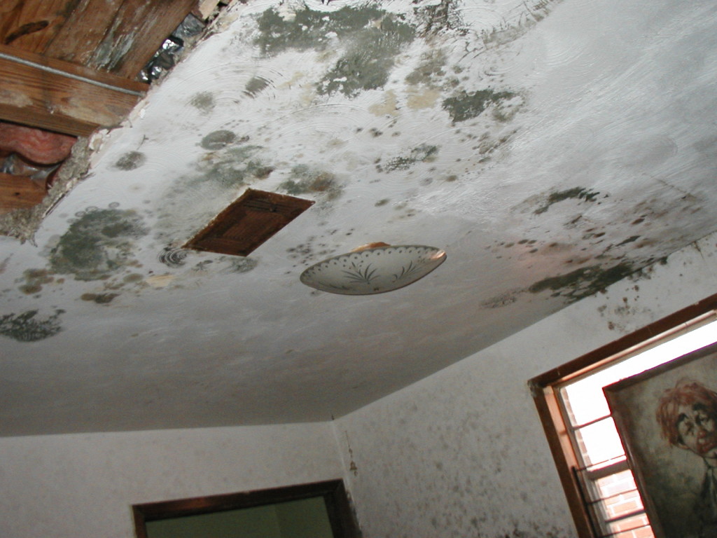How to Repair Popcorn Textured Ceiling After Water Damage