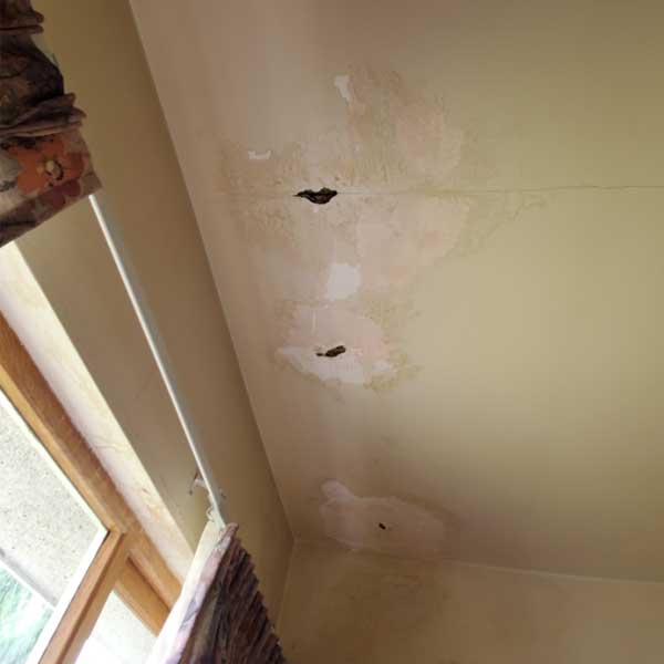 water damage repair vancouver burnaby new westminster bc